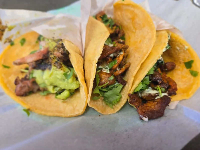 The Taco Stand