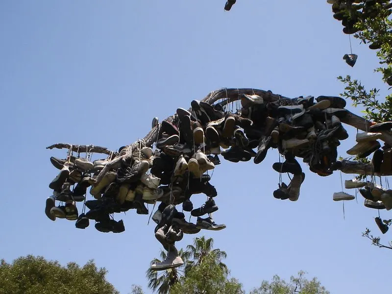 The Shoe Tree