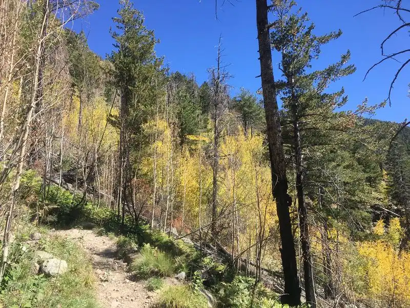 Kendrick Mountain Trail