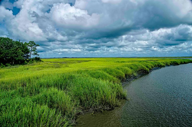 Little St. Simons Island