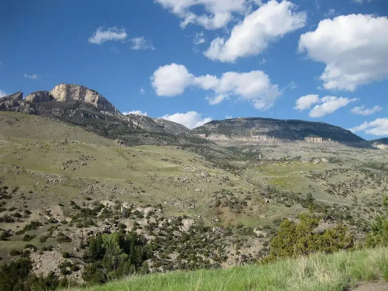 Camp under the stars in Bighorn National Forest