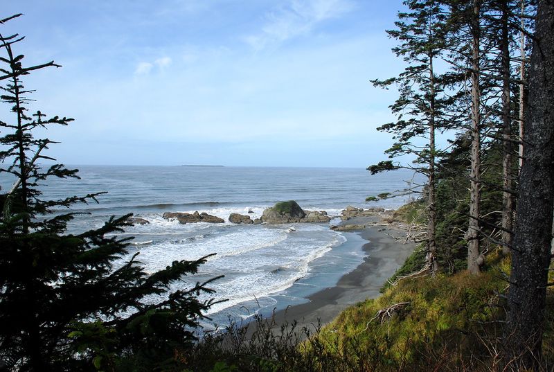 Kalaloch Beach