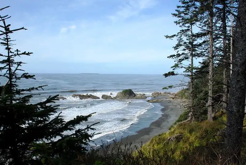 Kalaloch Beach