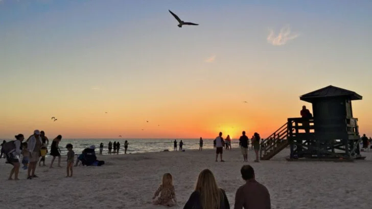 Siesta Key is an 8-mile Florida island known for white sand beaches and occasional dolphin sightings