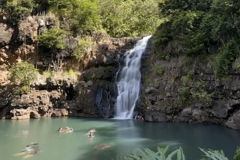 Jungle Hike to Waimea Falls
