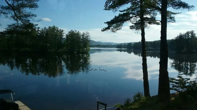 Wells, NY