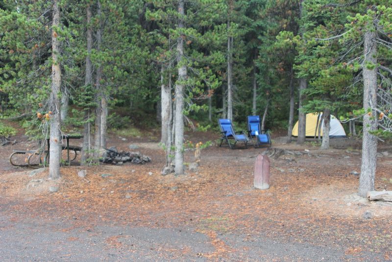 Picnic Spots