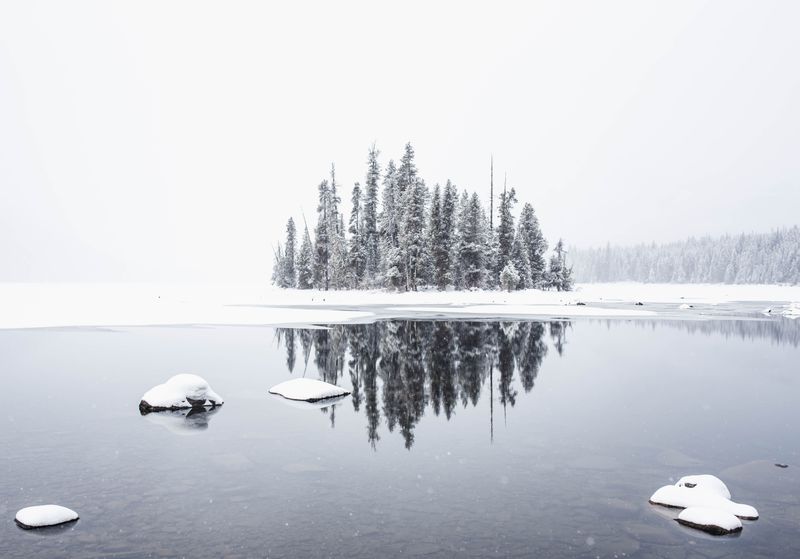 Cross-country skiing and snowshoeing in winter