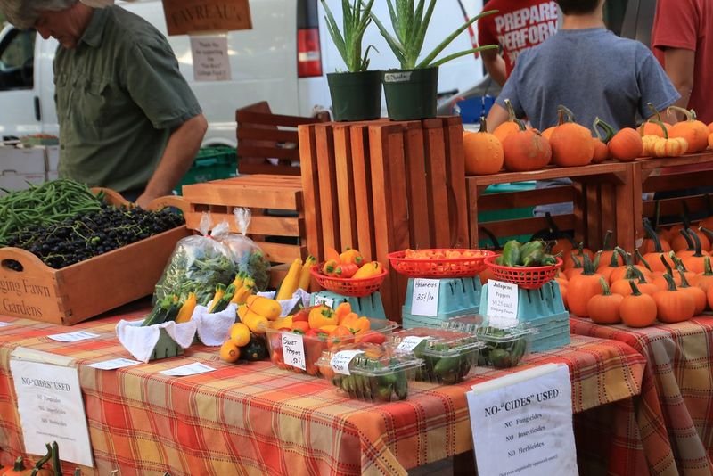 The Dane County Farmers’ Market – A Fall Harvest Feast