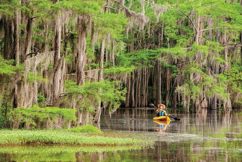 Texas – Caddo Lake
