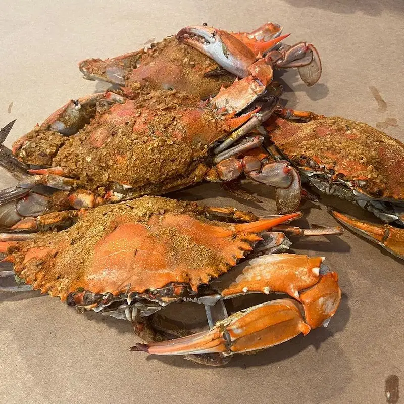 LP Steamers