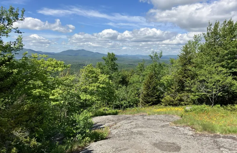 Hiking Trails and Wildlife Watching