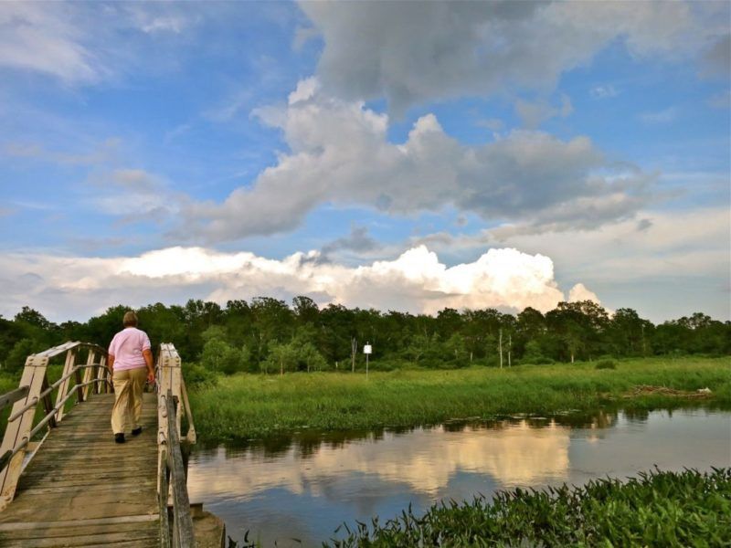 White Memorial Conservation Center – Litchfield