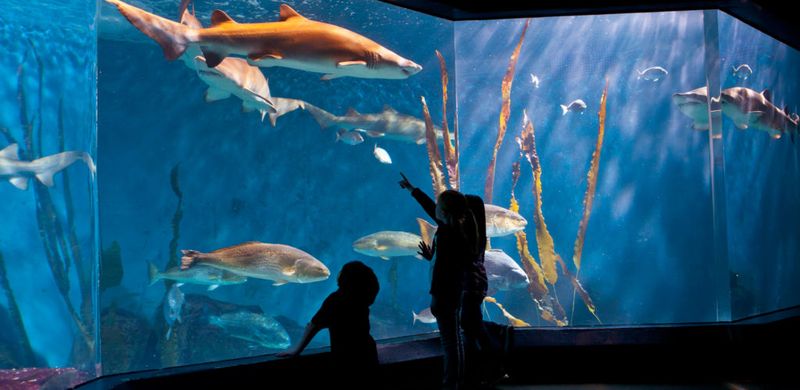 Maritime Aquarium – Norwalk