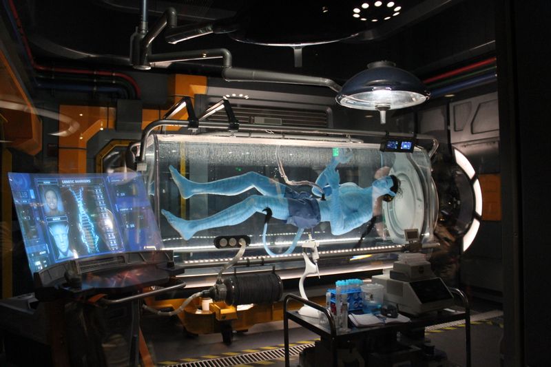 Avatar Flight of Passage – Disney’s Animal Kingdom, Florida