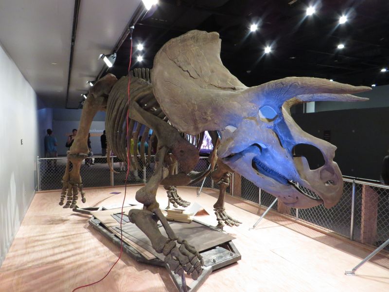Interactive Exhibits Encourage Learning Through Play