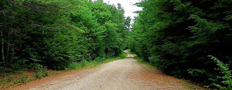 Lakeside Walking Trails