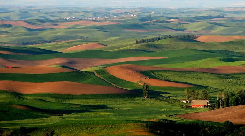 Steptoe Butte State Park