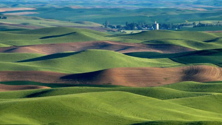 The Palouse offers endless views of rolling hills you won’t see anywhere else in Washington