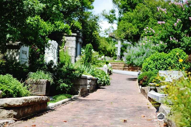 Oakland Cemetery’s Hidden Garden Corners