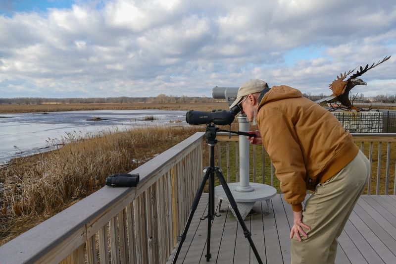 Montezuma National Wildlife Refuge – Birding & Boardwalks