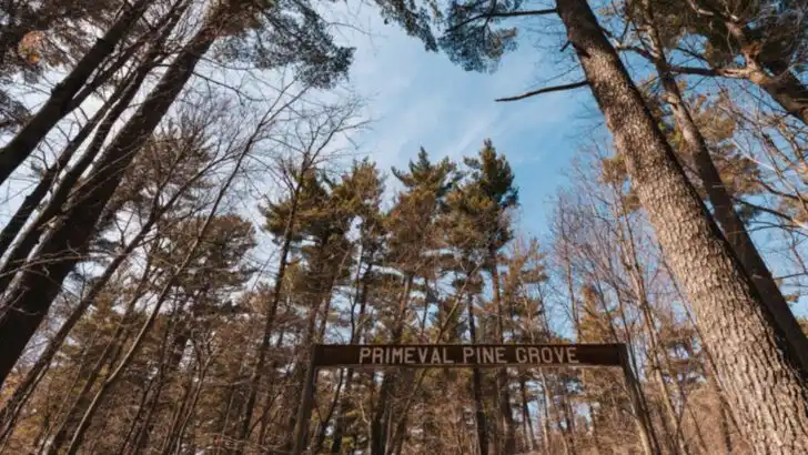 This Charming Minnesota Town Has Something for History Buffs, Hikers, and Hungry Travelers