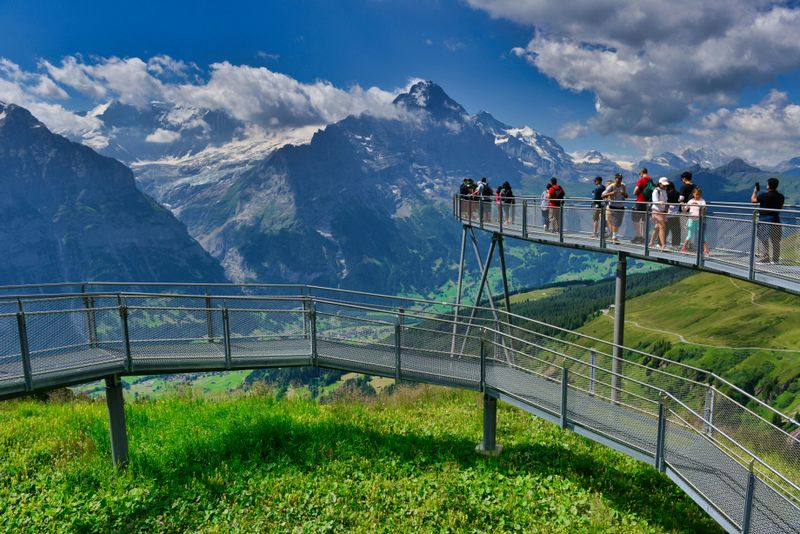 Ride the First Flyer Zipline