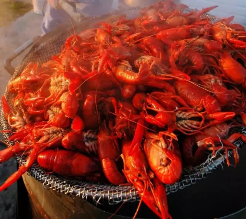Breaux Bridge: The Crawfish Capital of the World
