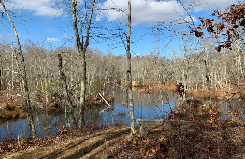 Salem Land Trust Trails