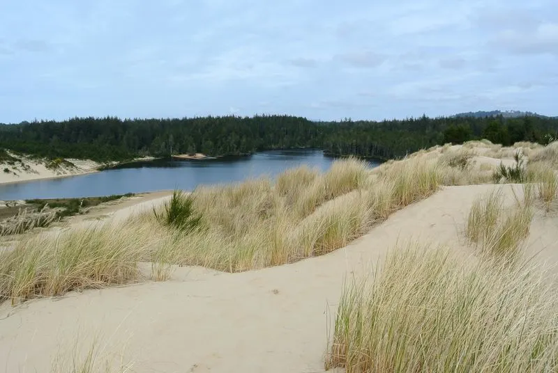 Jessie M. Honeyman Memorial State Park