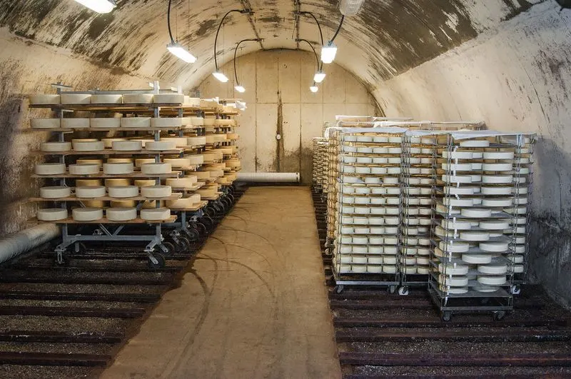 Cheese Tasting in a Cave (Vermont or Wisconsin)