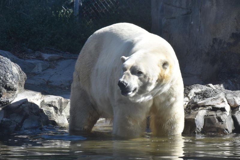 Hogle Zoo