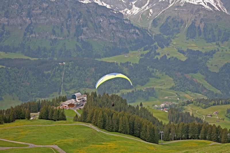 Watch the Paragliders Soar