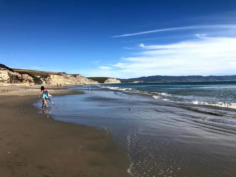 Explore Drake’s Beach