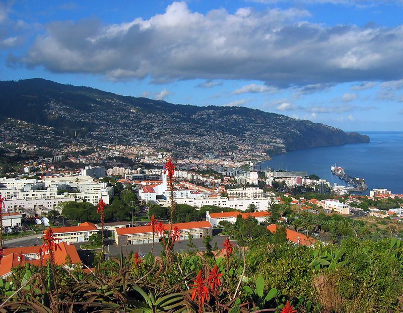 Funchal’s Unique Blend of Tradition and Modern Life