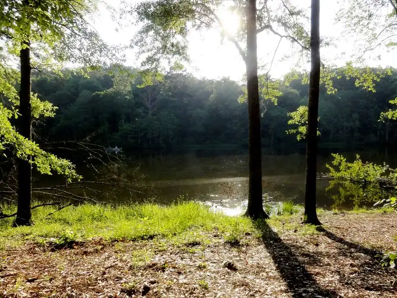 Picnic at Lake Lurleen State Park