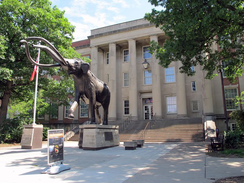 Visit the University of Nebraska State Museum (Morrill Hall)