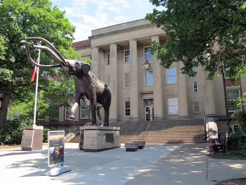Visit the University of Nebraska State Museum (Morrill Hall)