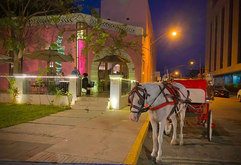 Horse-drawn carriage rides through Paseo de Montejo