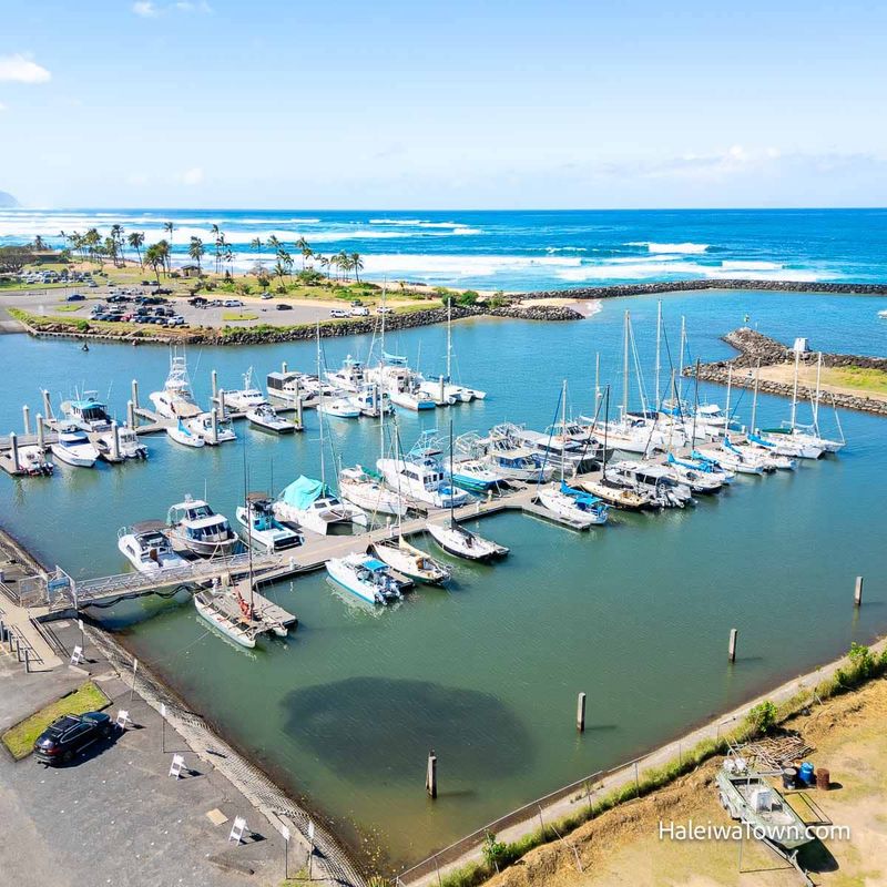 Fishing at Haleiwa Harbor