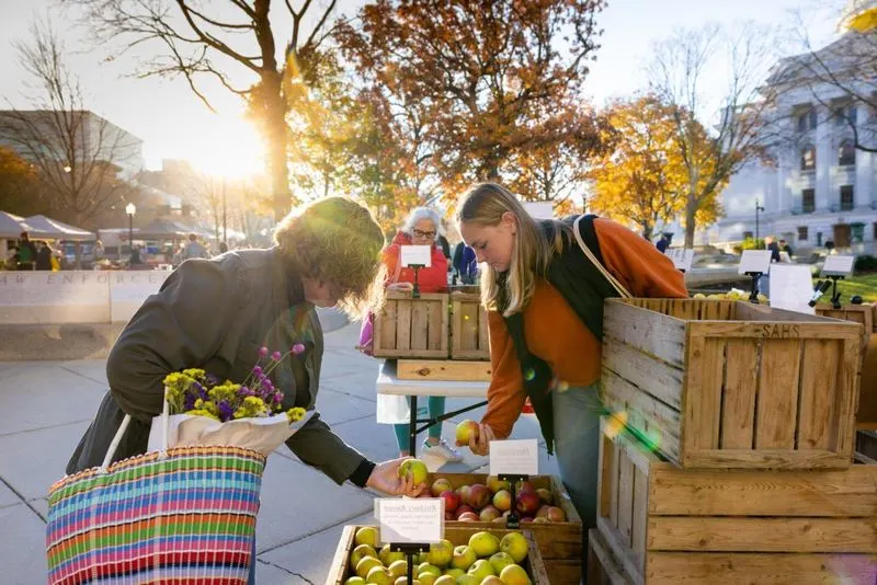 Vibrant Farmers Markets and Local Produce