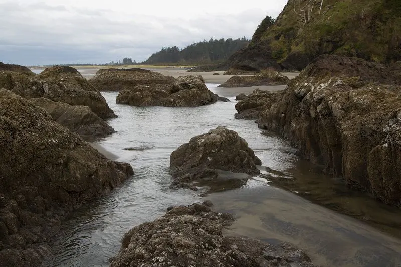 Long Beach Peninsula