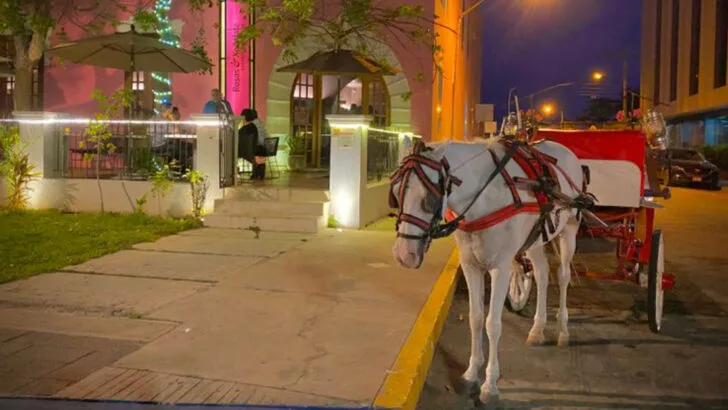 What makes Mérida, Mexico one of the best cities for a slower-paced family trip