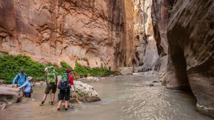 Why Zion National Park Is Becoming Harder to Enjoy Each Year