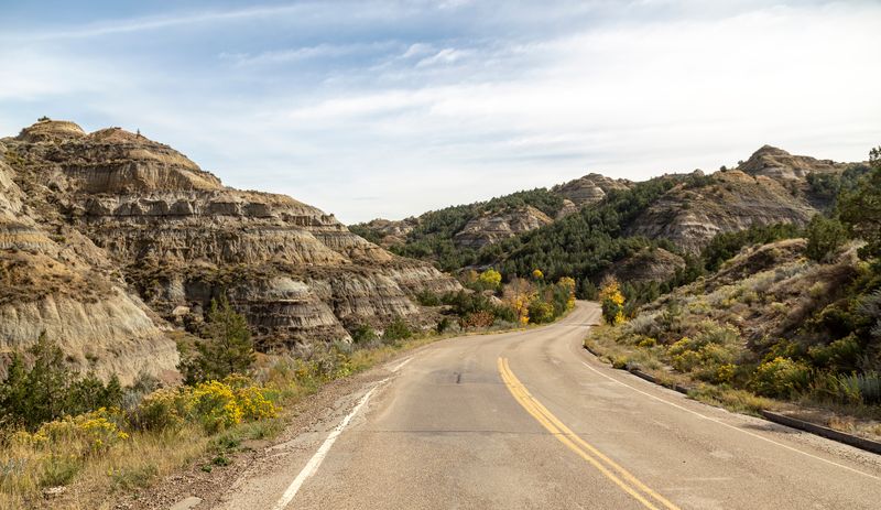 Scenic Drives