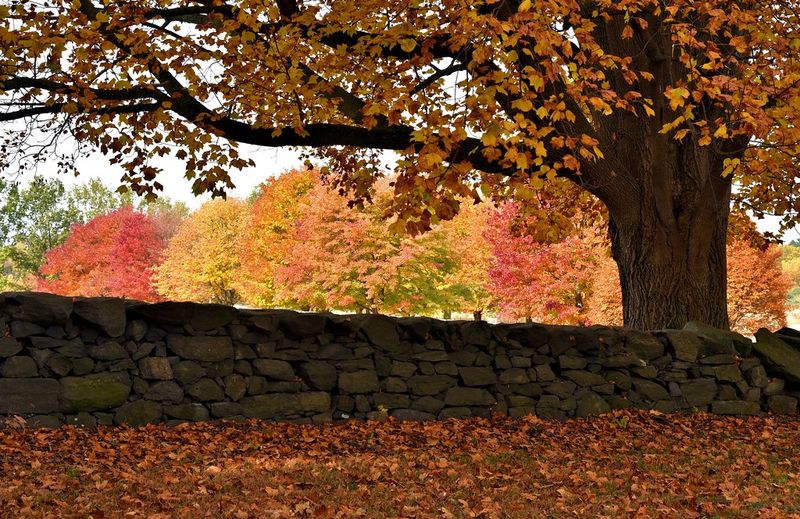 Brandywine Creek State Park