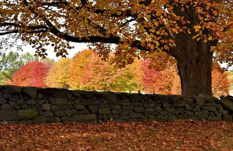 Brandywine Creek State Park