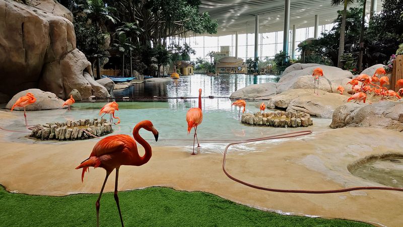 SeaWorld Abu Dhabi