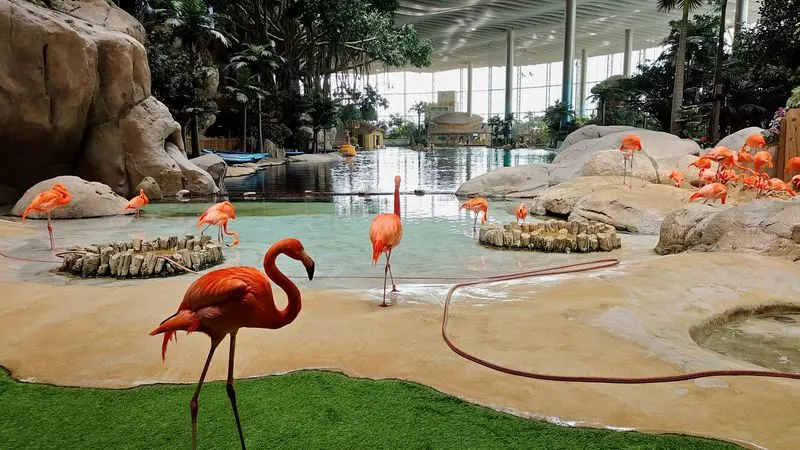 SeaWorld Abu Dhabi