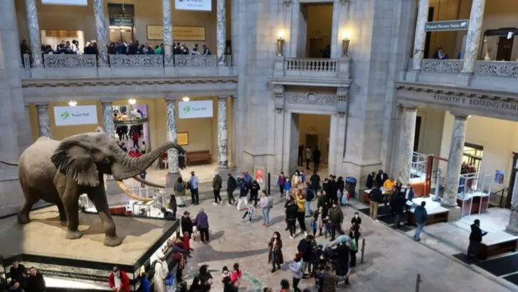 15 Reasons the Smithsonian Museums in Washington, D.C. Are Perfect for a Family Trip